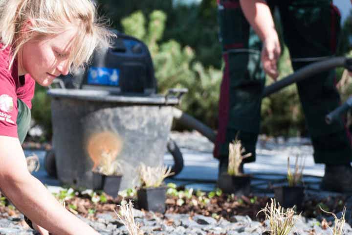 Gartenbau LE Handwerkerpool 06