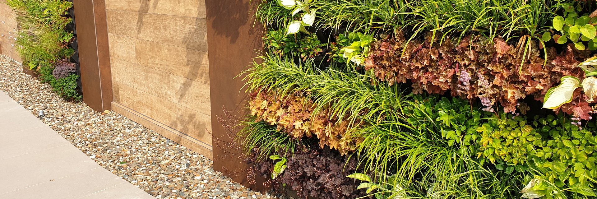 Begr&uuml;nte Wand am Pool: bepflanzte Vertikalmodule in B&auml;ndern aus Hosta, Purpurgl&ouml;ckchen und Gr&auml;sern zwischen Cortenstahl-Pfosten
